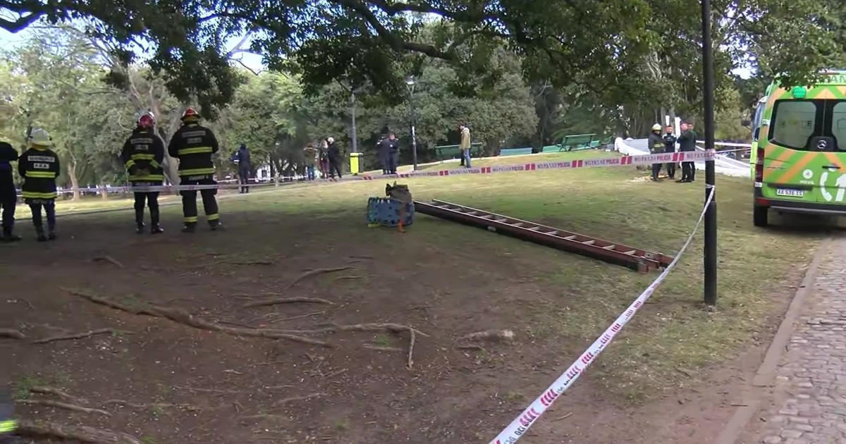 La Plata: encontraron el cuerpo de un hombre en Parque Saavedra | Canal 9