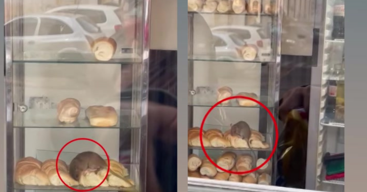 Dise%C3%B1o%20sin%20t%C3%ADtulo%20%2827%29