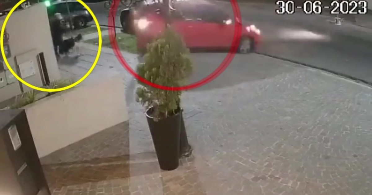 Una mujer y su perrito se salvaron de milagro tras un accidente en ...