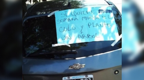 Día de furia: dejó mal estacionado el auto y le sugirieron que "si quiere sombra, mueva el cul..."