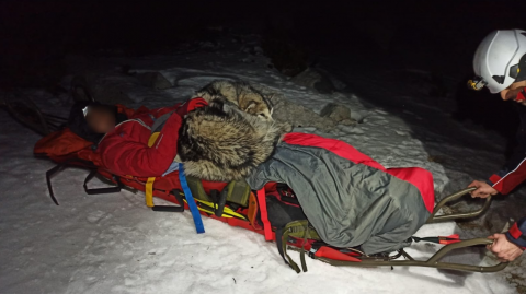 Un perro se quedó 13 horas junto a un montañista herido y le salvó la vida