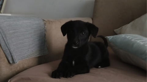 Benjamín a punto de conocer a su familia.