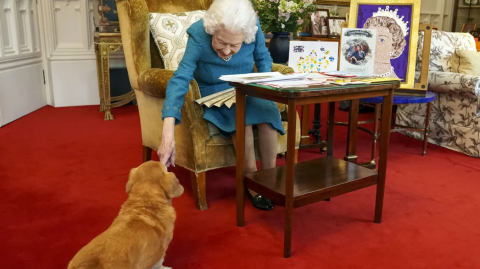 Murió la Reina Isabel II: qué pasará con sus 30 perritos Corgi